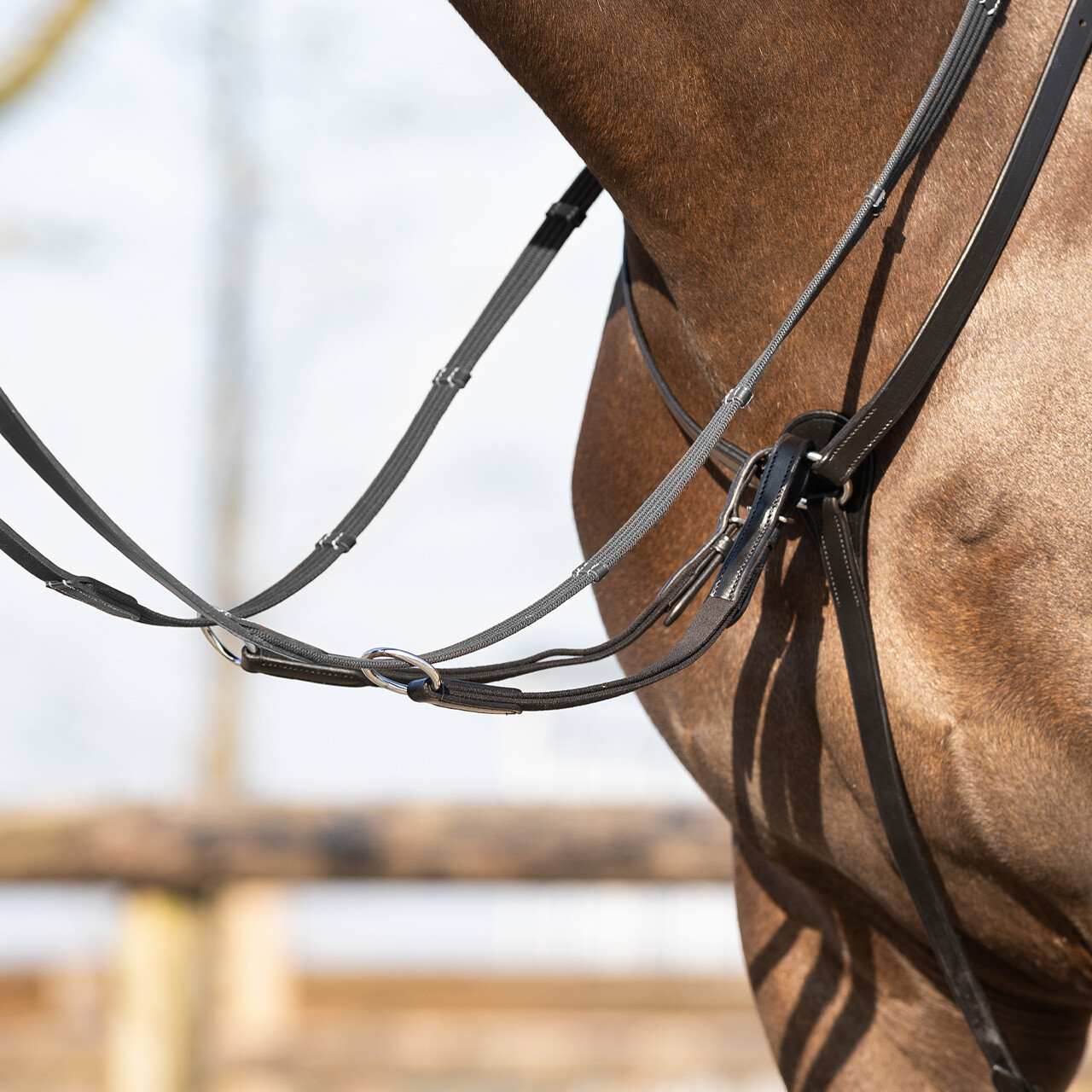 Breastplate Basic pro