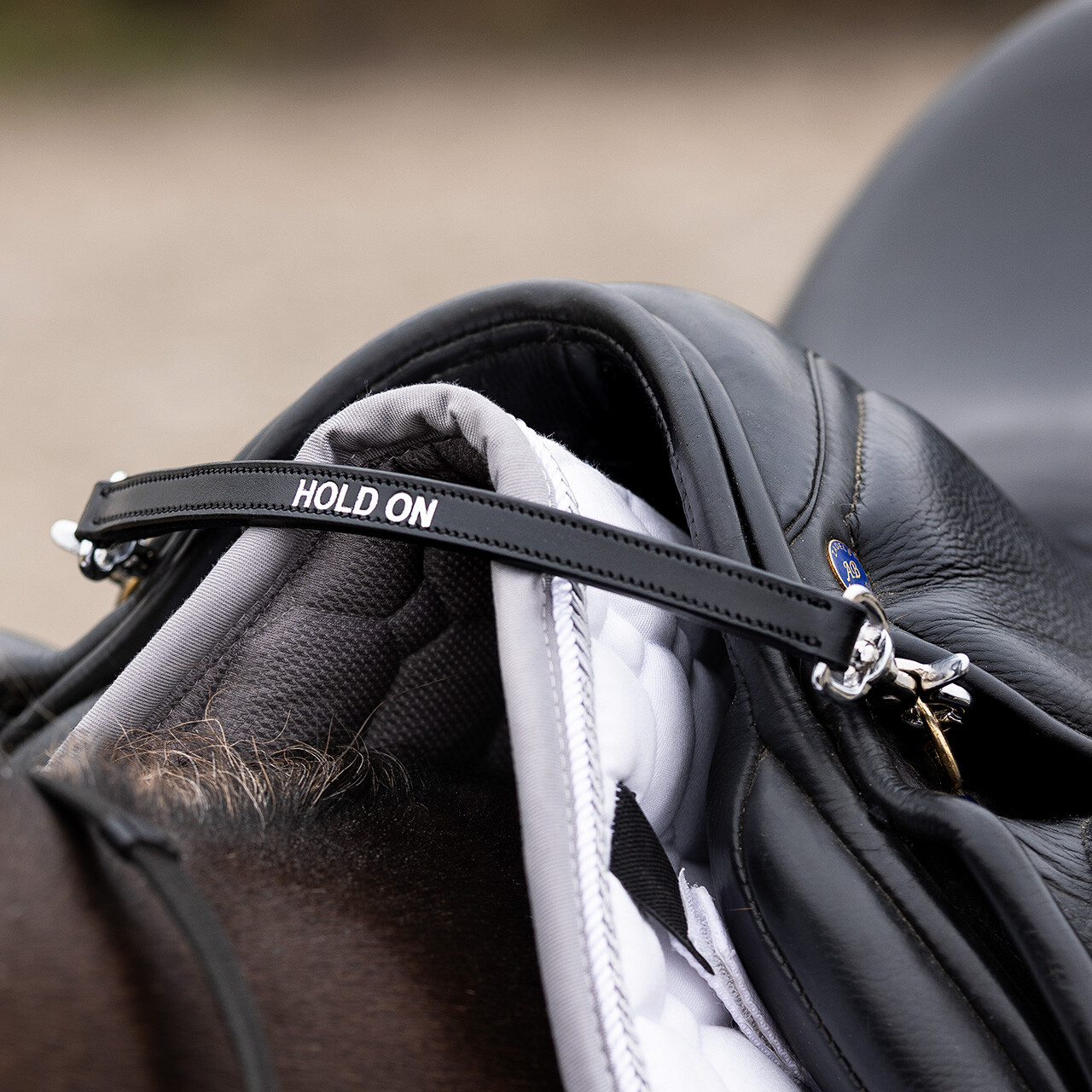 Saddle handle hold on