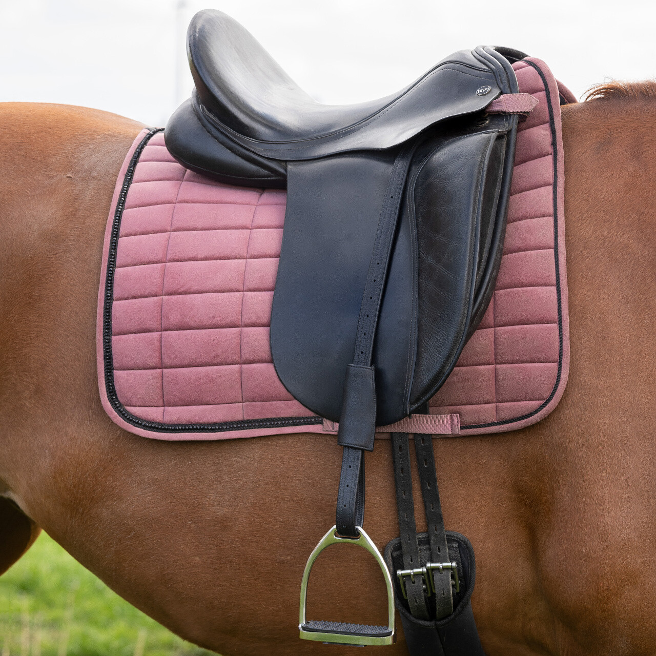 Stirrup leather mono