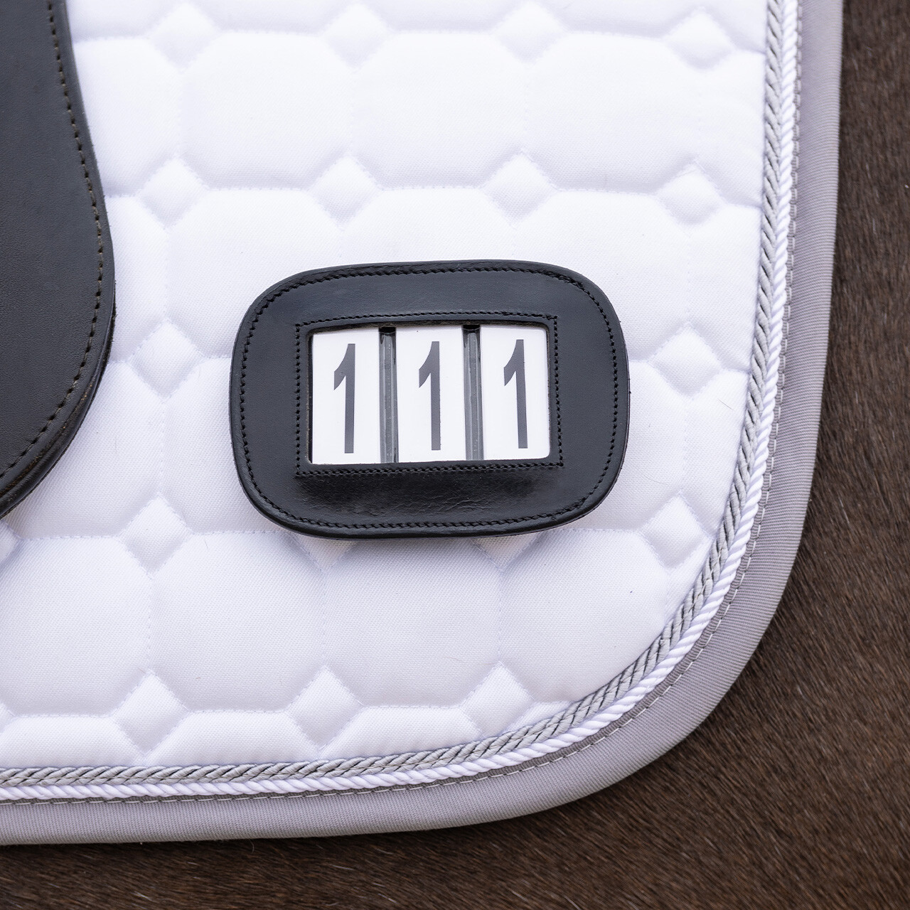 Number holder Modeste square