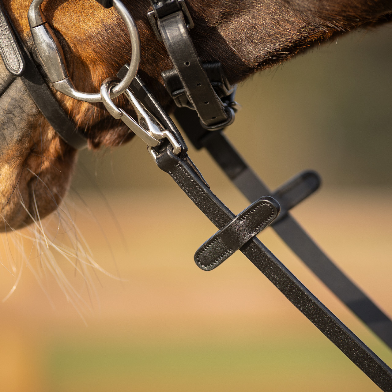 Rein one sided anti-slip with clip