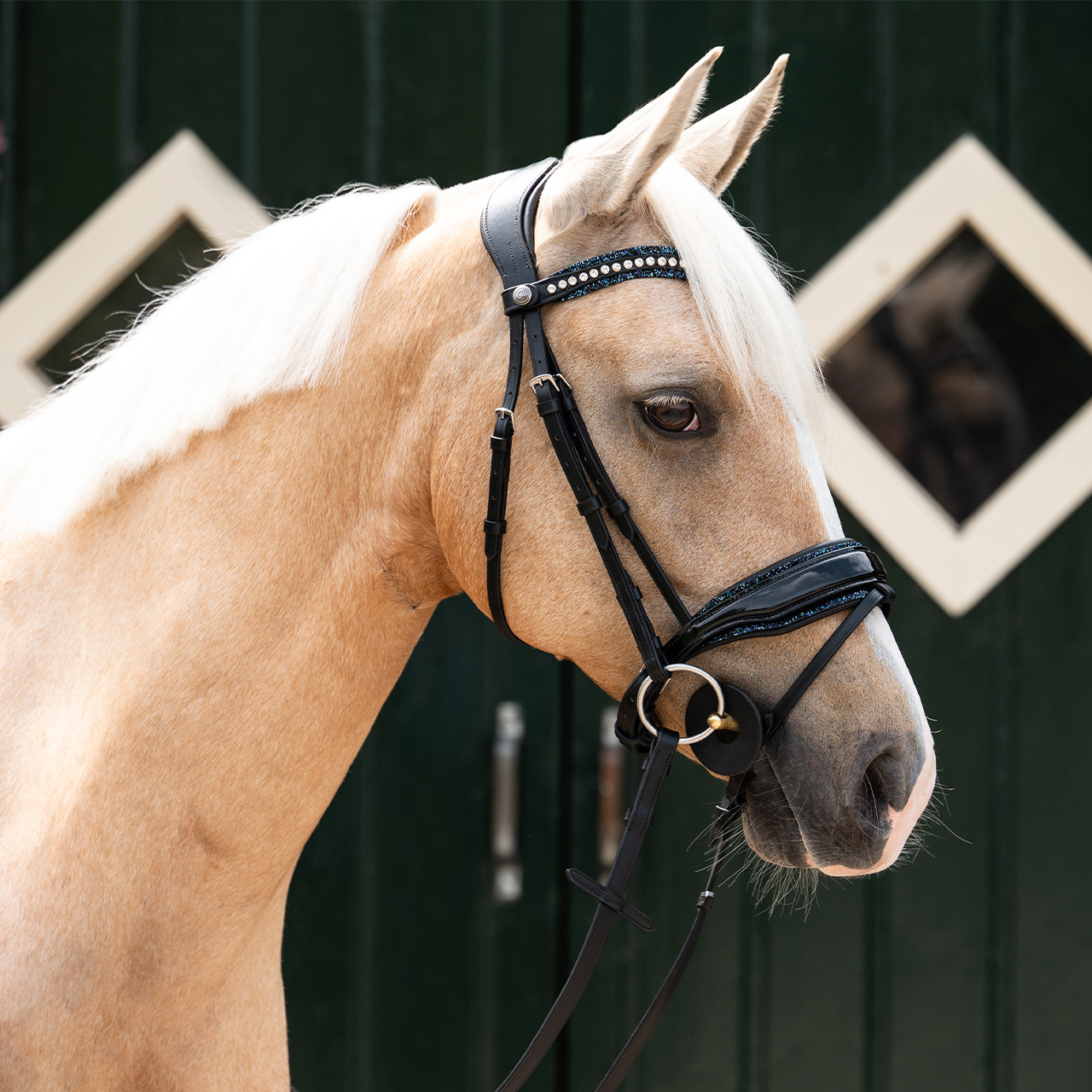 Browband Skye