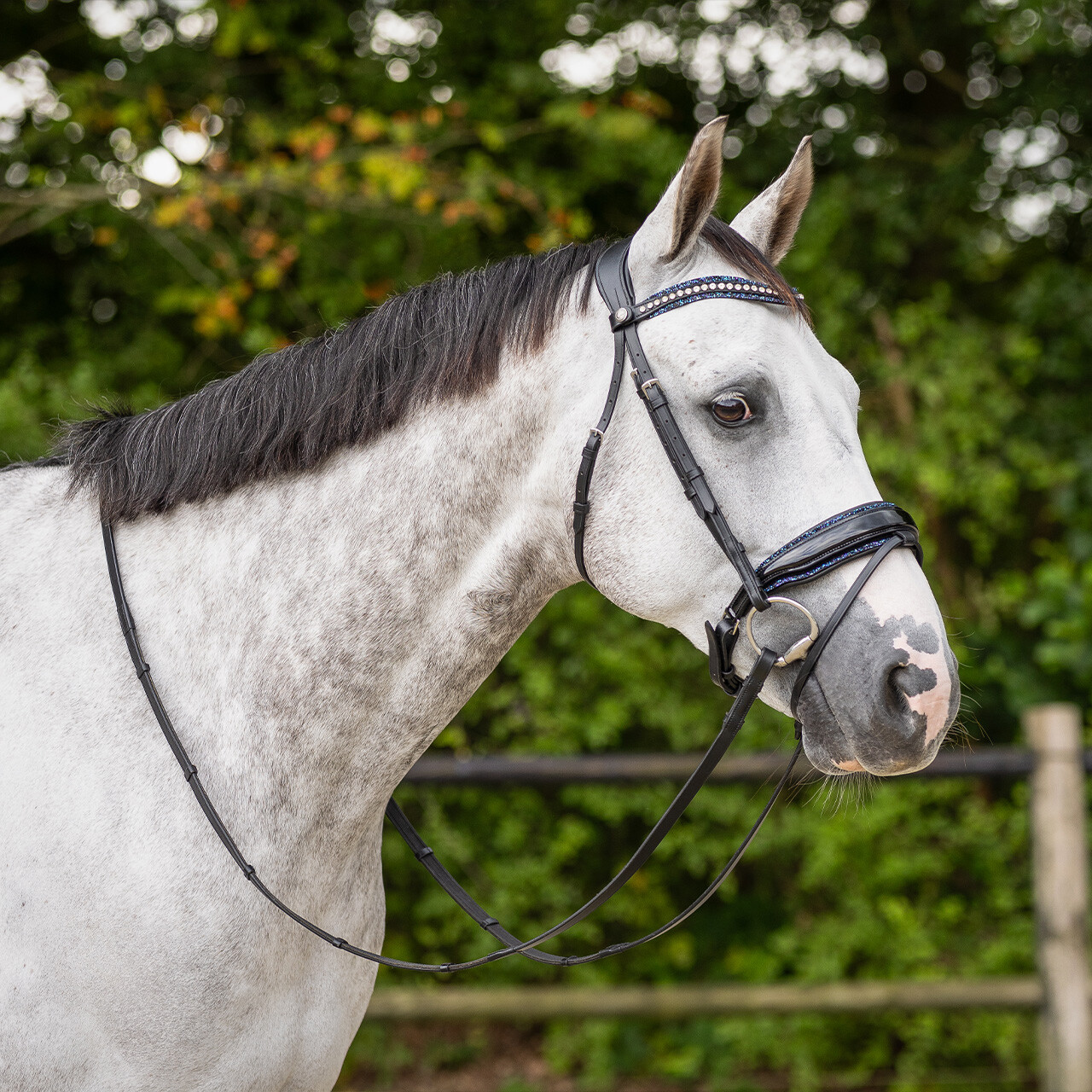 Browband Skye