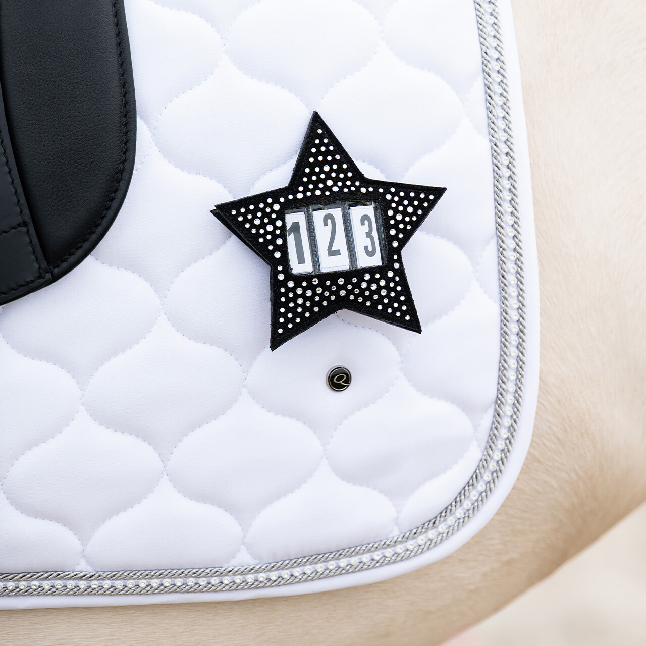 Držitel čísla Jipp Black