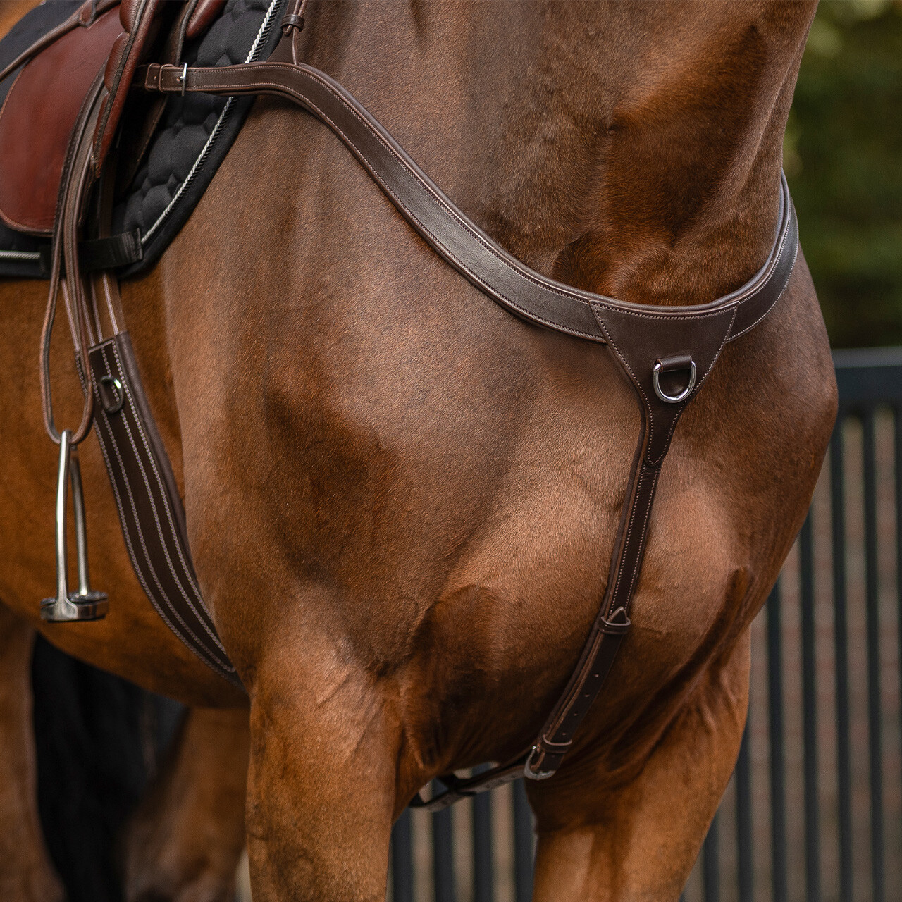 Breastplate with long bridge