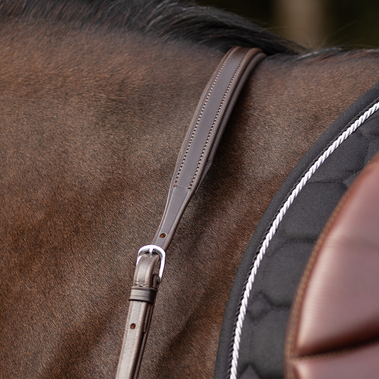 Breastplate with long bridge