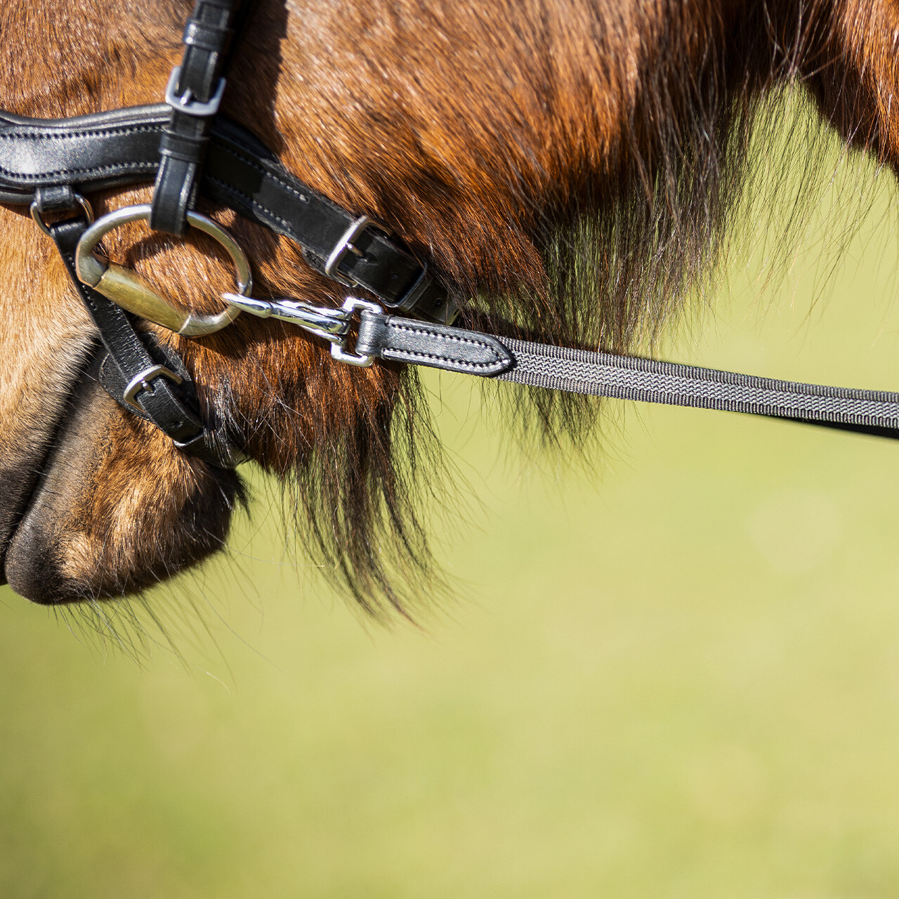 Anti-slip rein with stops Fjara Icelandic