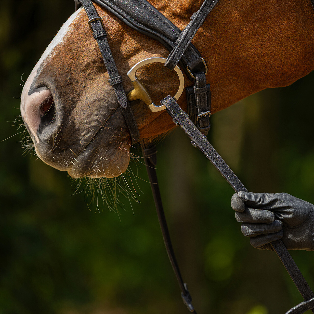Web reins Glitter
