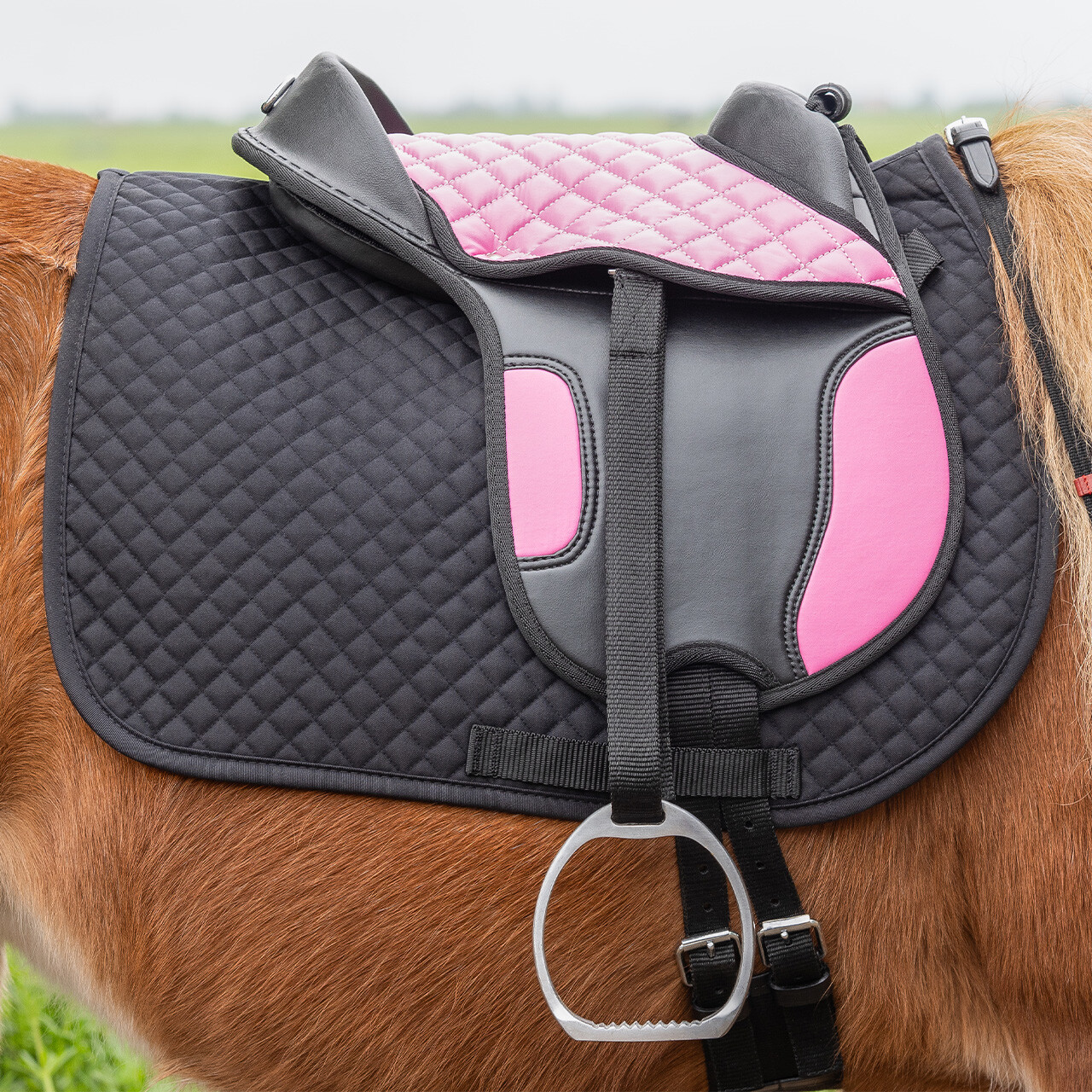 Shetland saddle