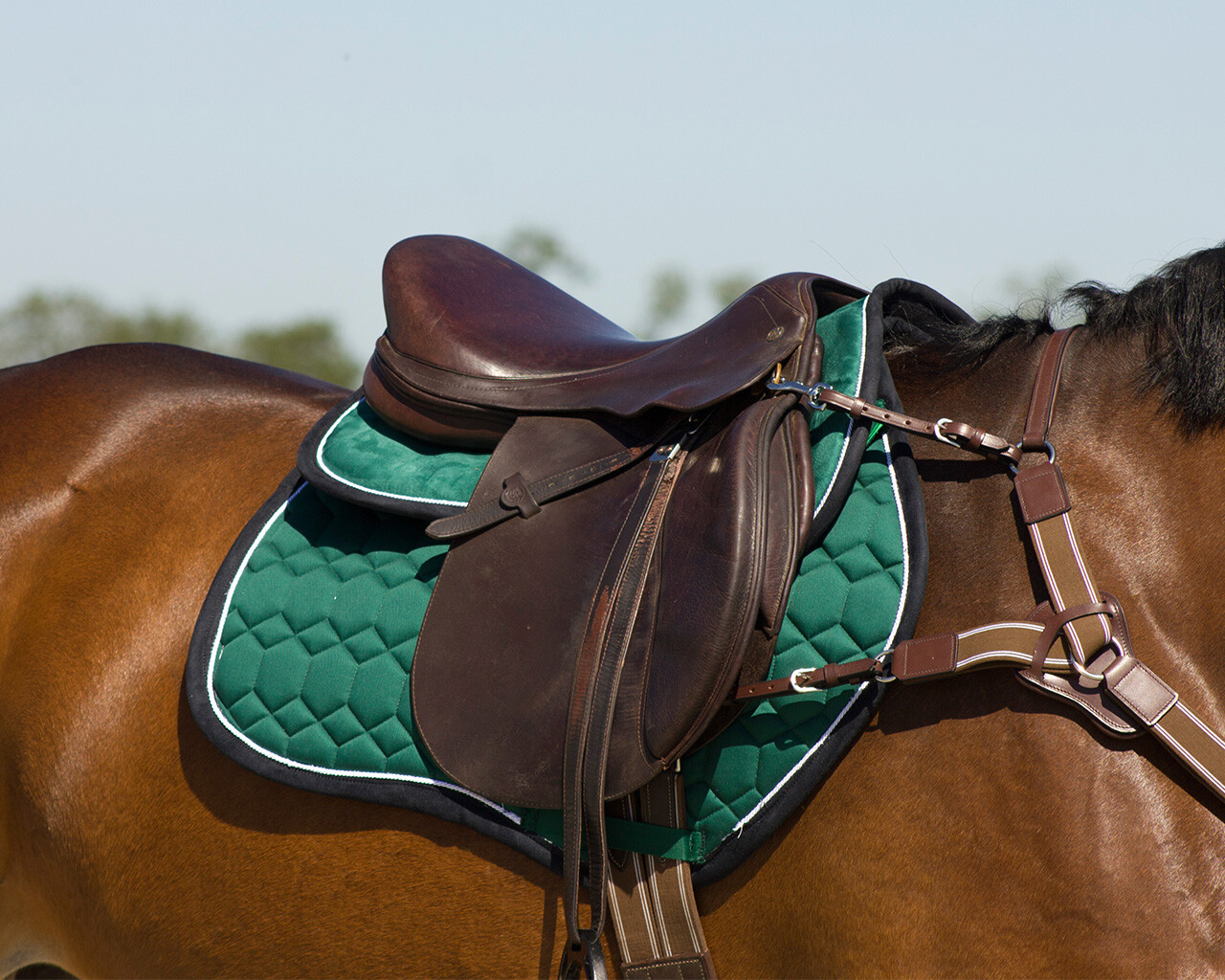 Saddle pad Eldorado