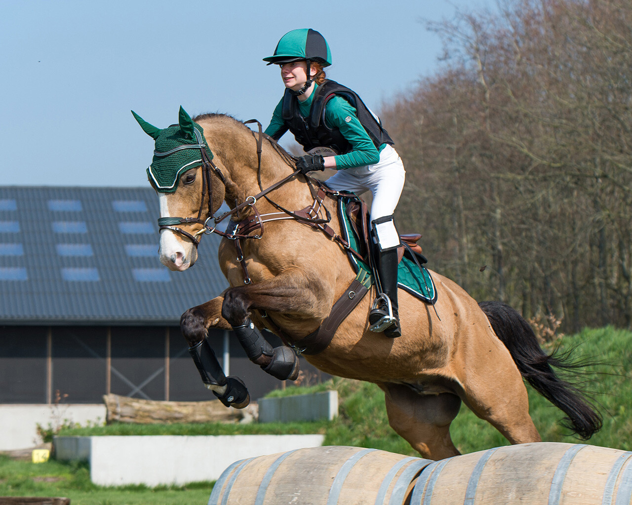 Saddle pad Eldorado