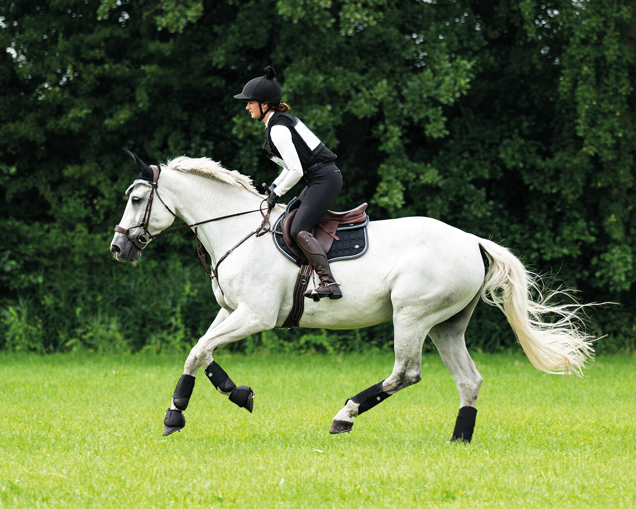 Saddle pad Eldorado