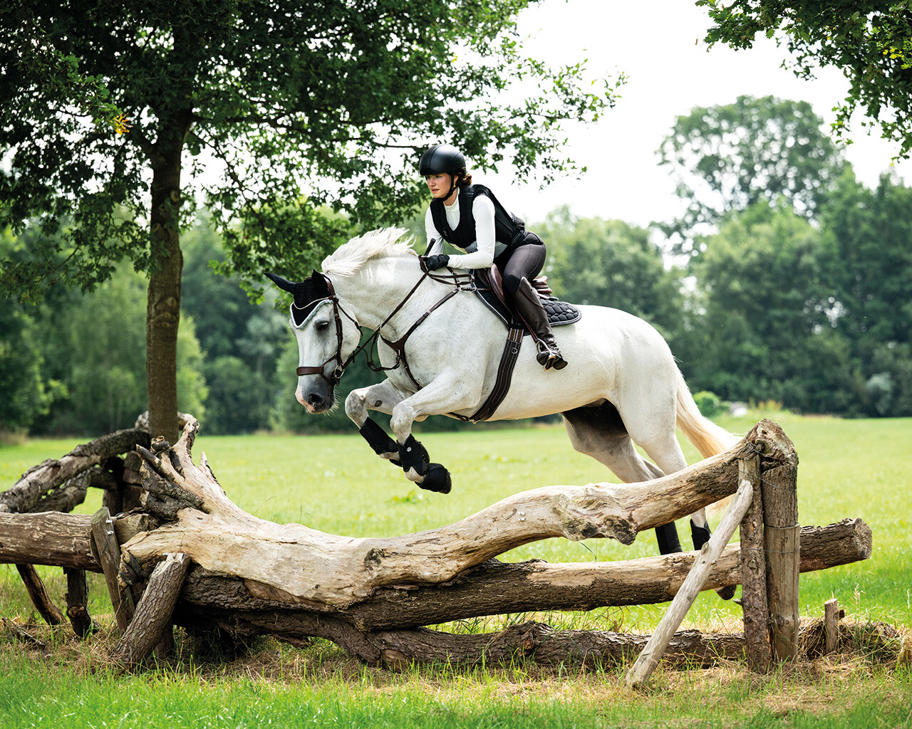 Saddle pad Eldorado