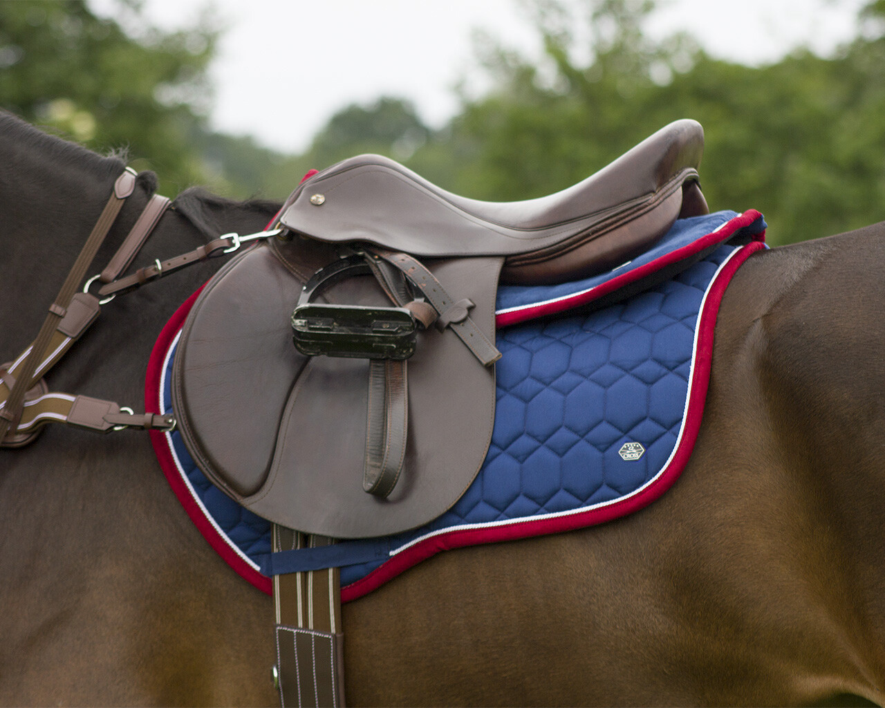 Saddle pad Eldorado