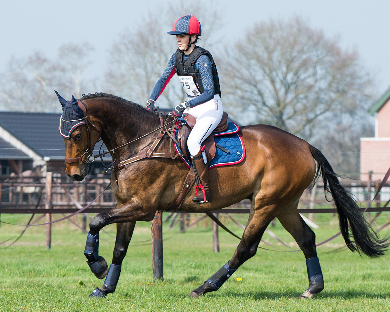 Saddle pad Eldorado