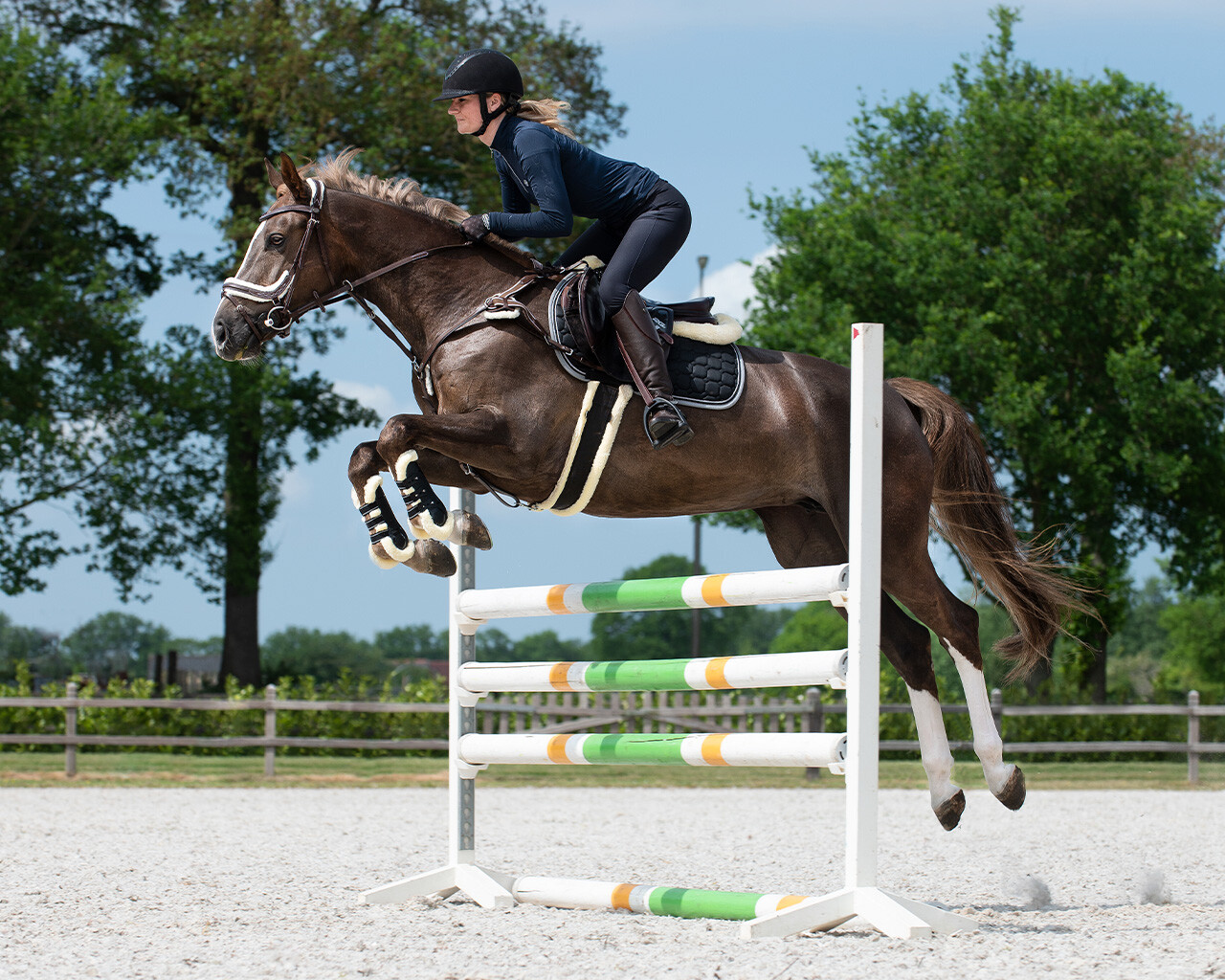 All purpose girth Ontario