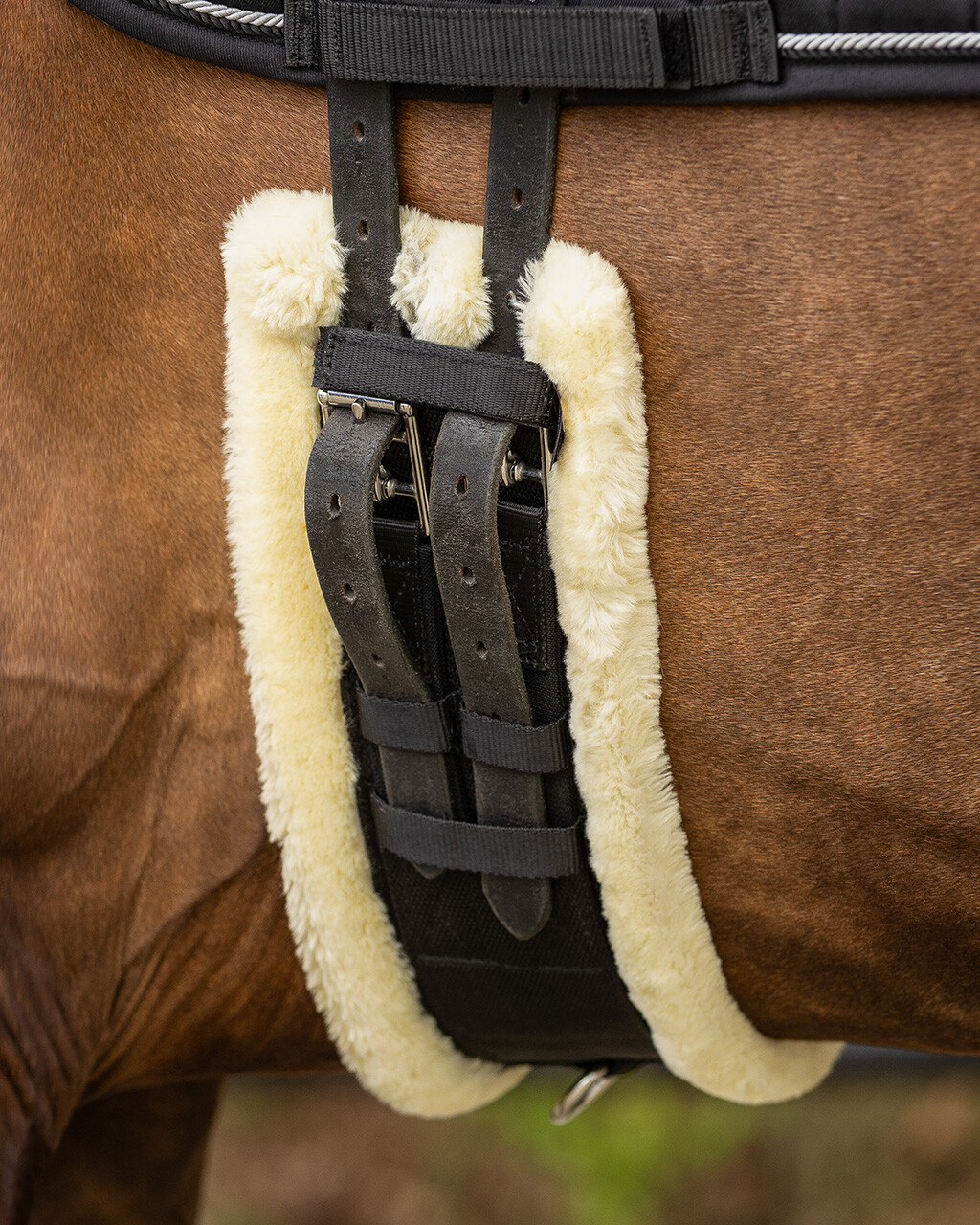 Dressage girth Ontario