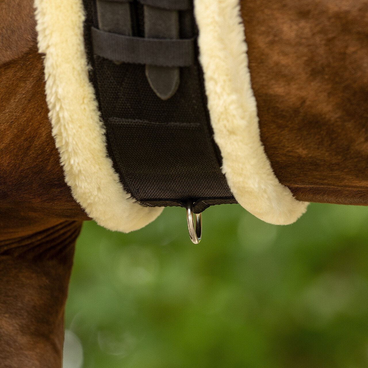 Dressage girth Ontario