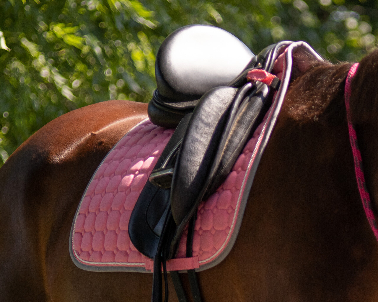 Saddle pad Florence