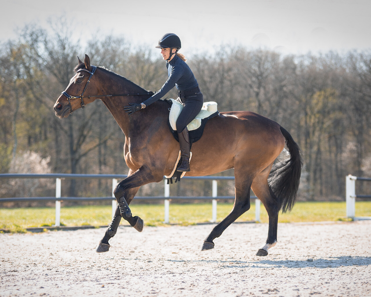 Bareback pad super soft