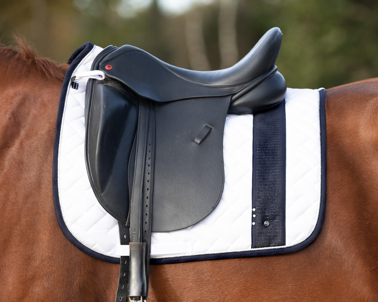 Saddle pad Kae