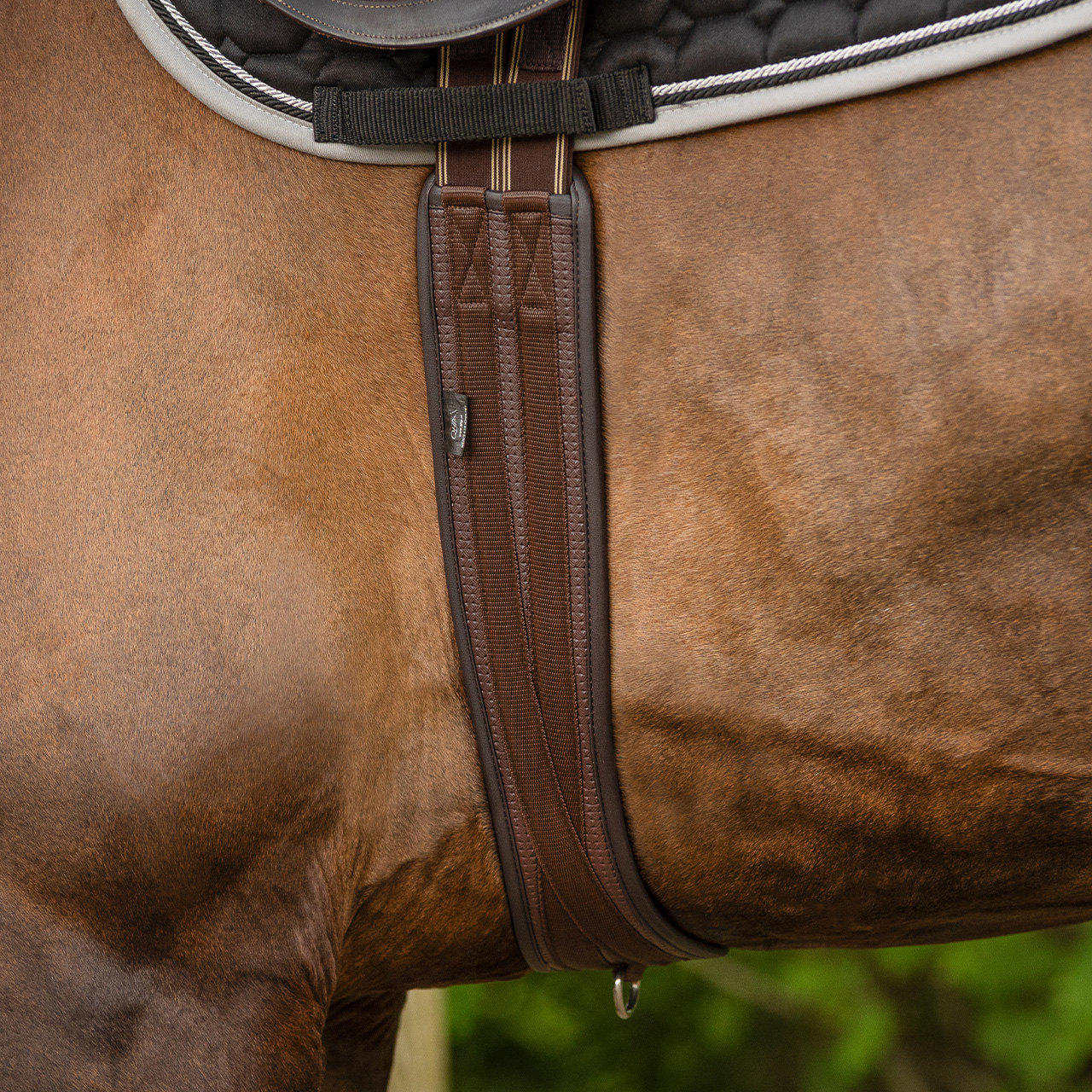 All purpose girth Basic pro