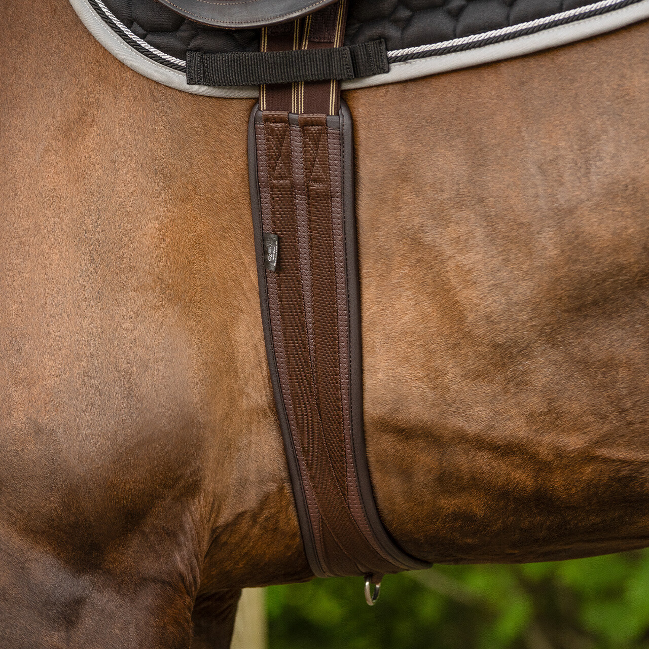 All purpose girth Basic pro