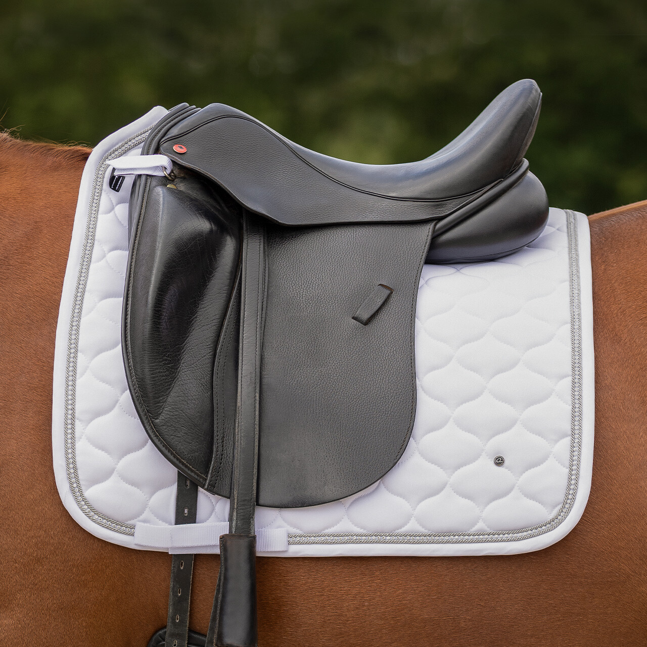 Saddle pad Sparkle