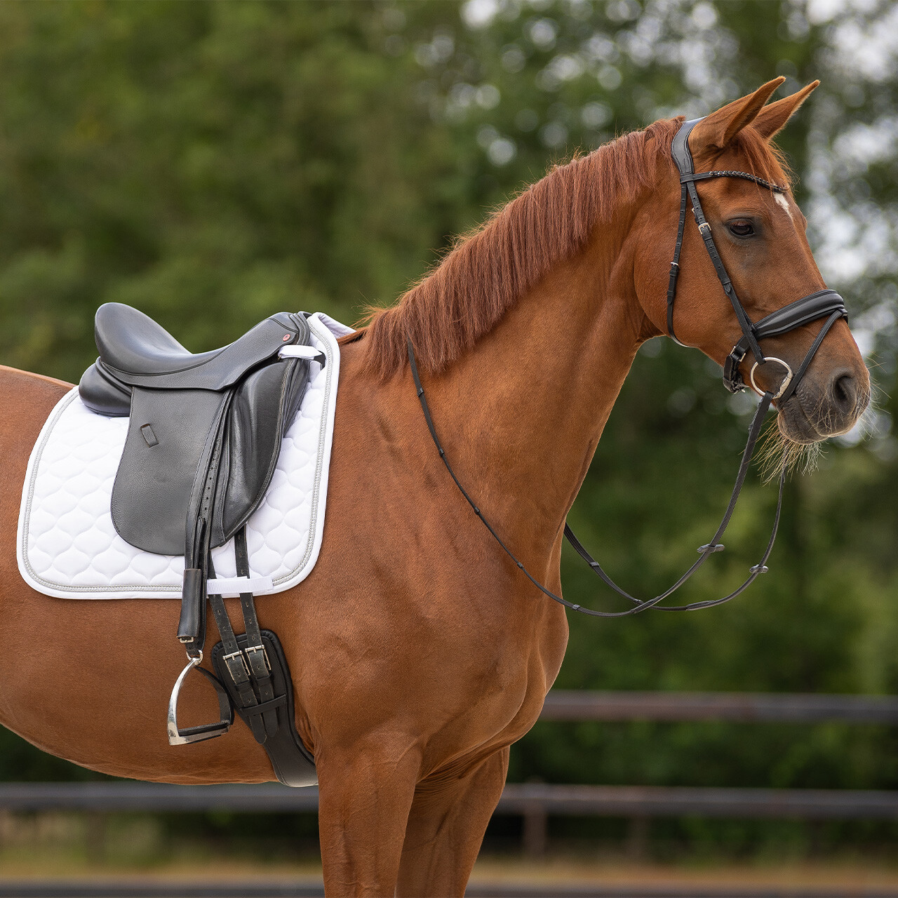 Saddle pad Sparkle