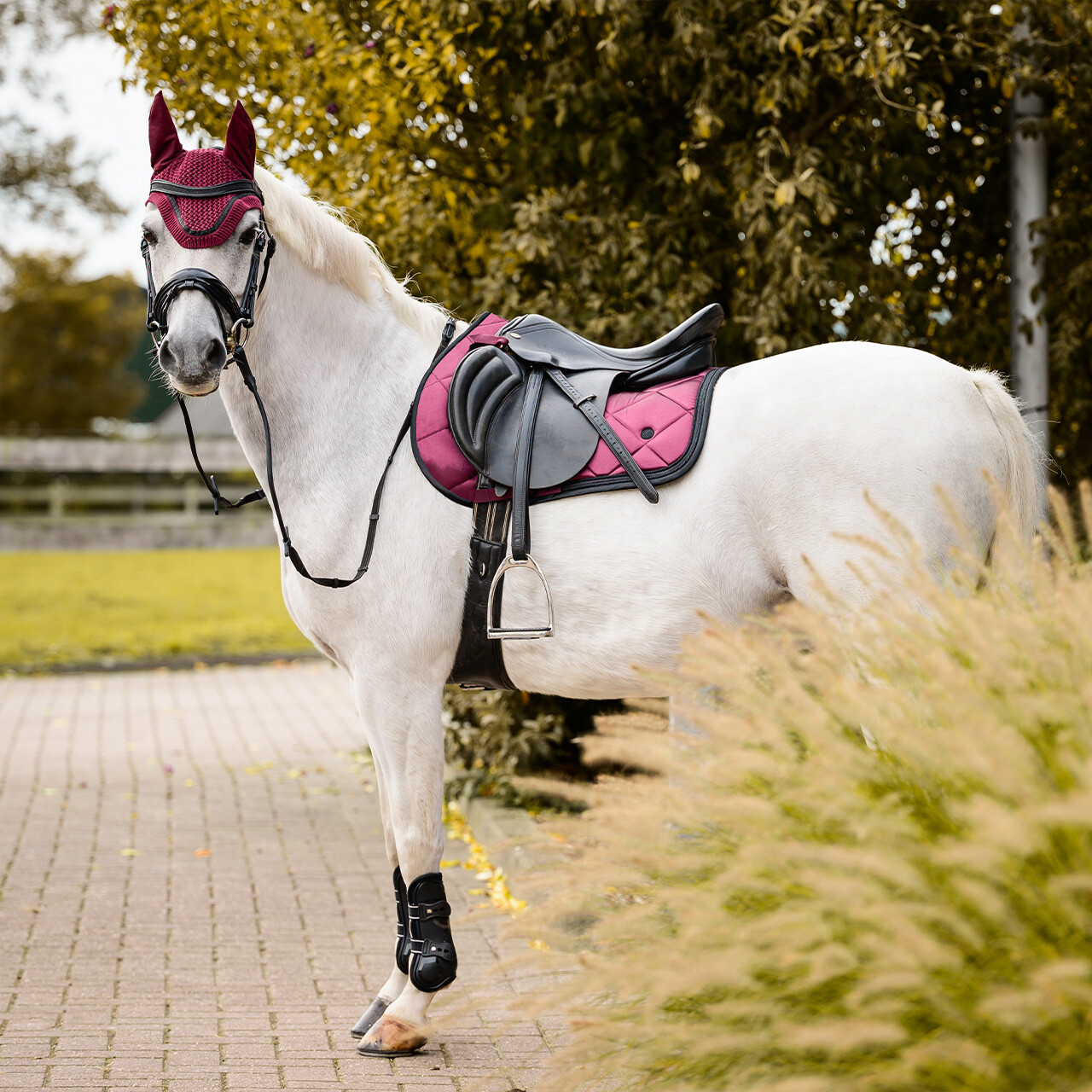 Saddle pad Zahra