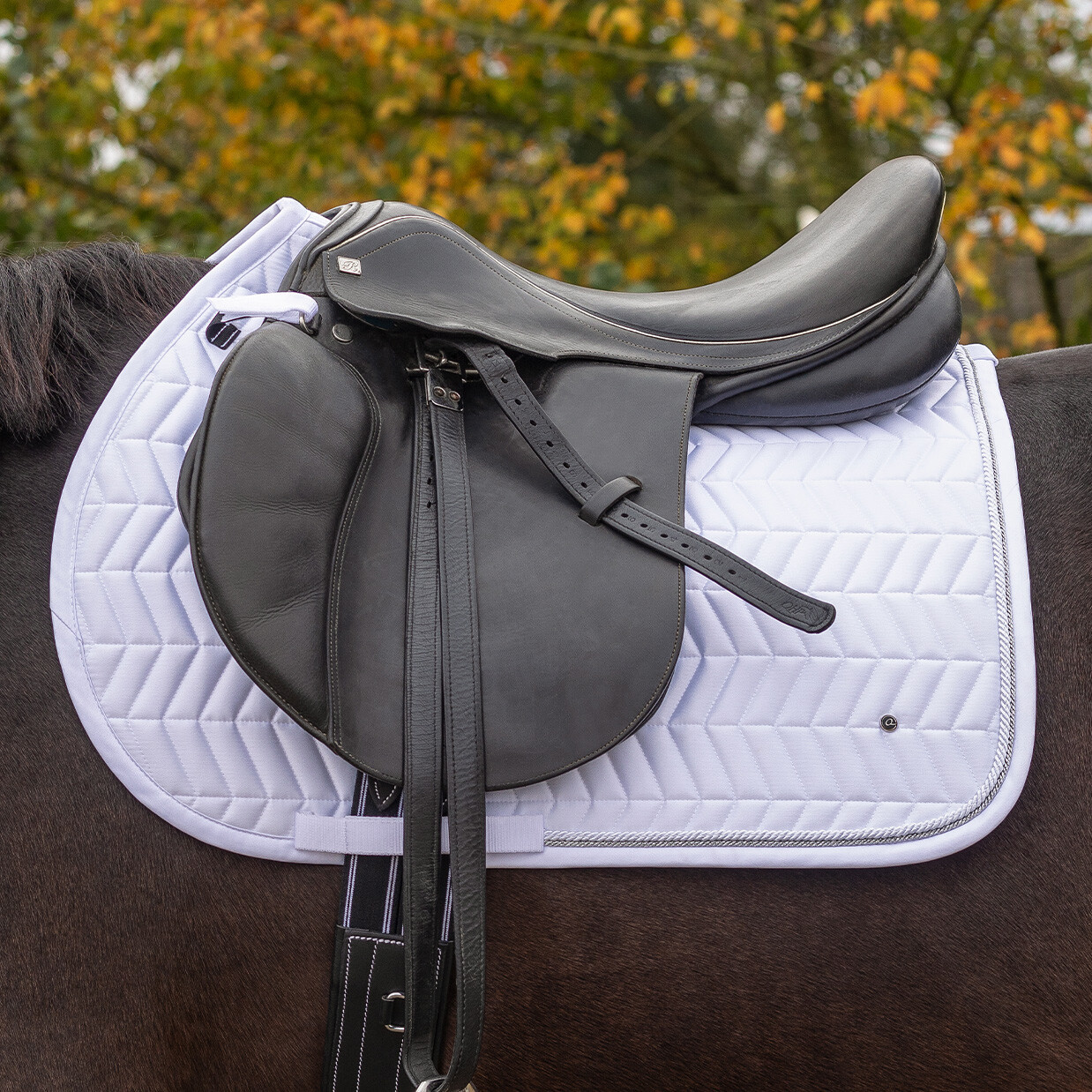 Saddle pad Sennah