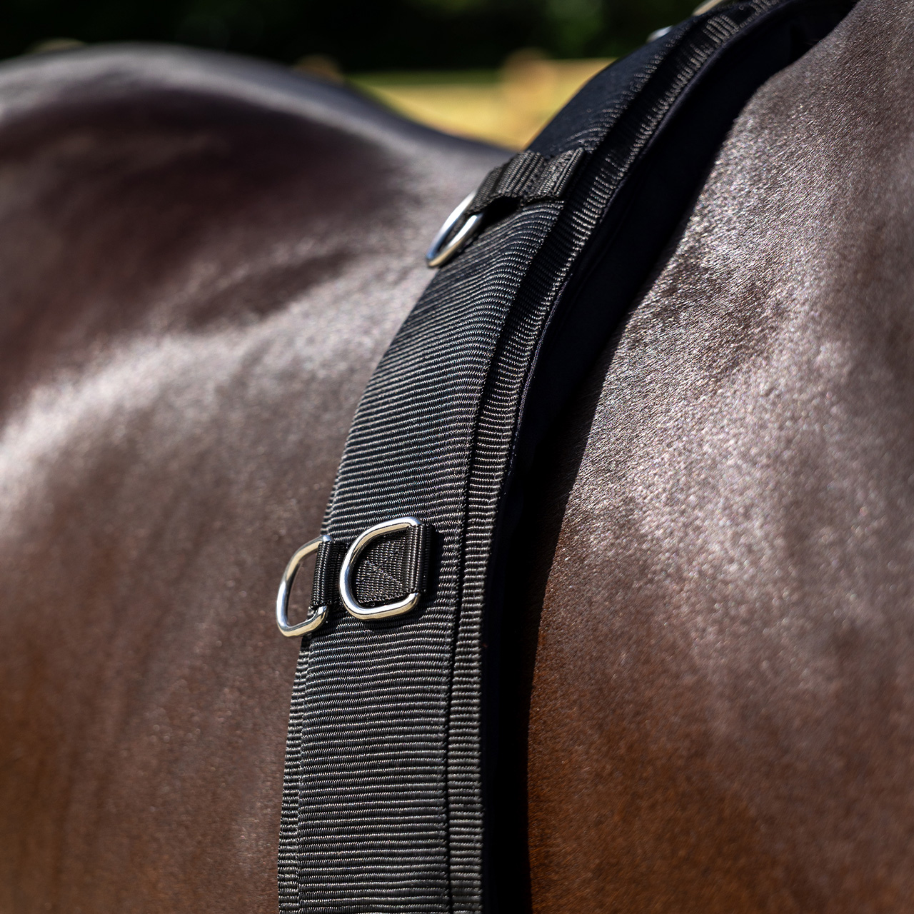 Lunging girth Padded