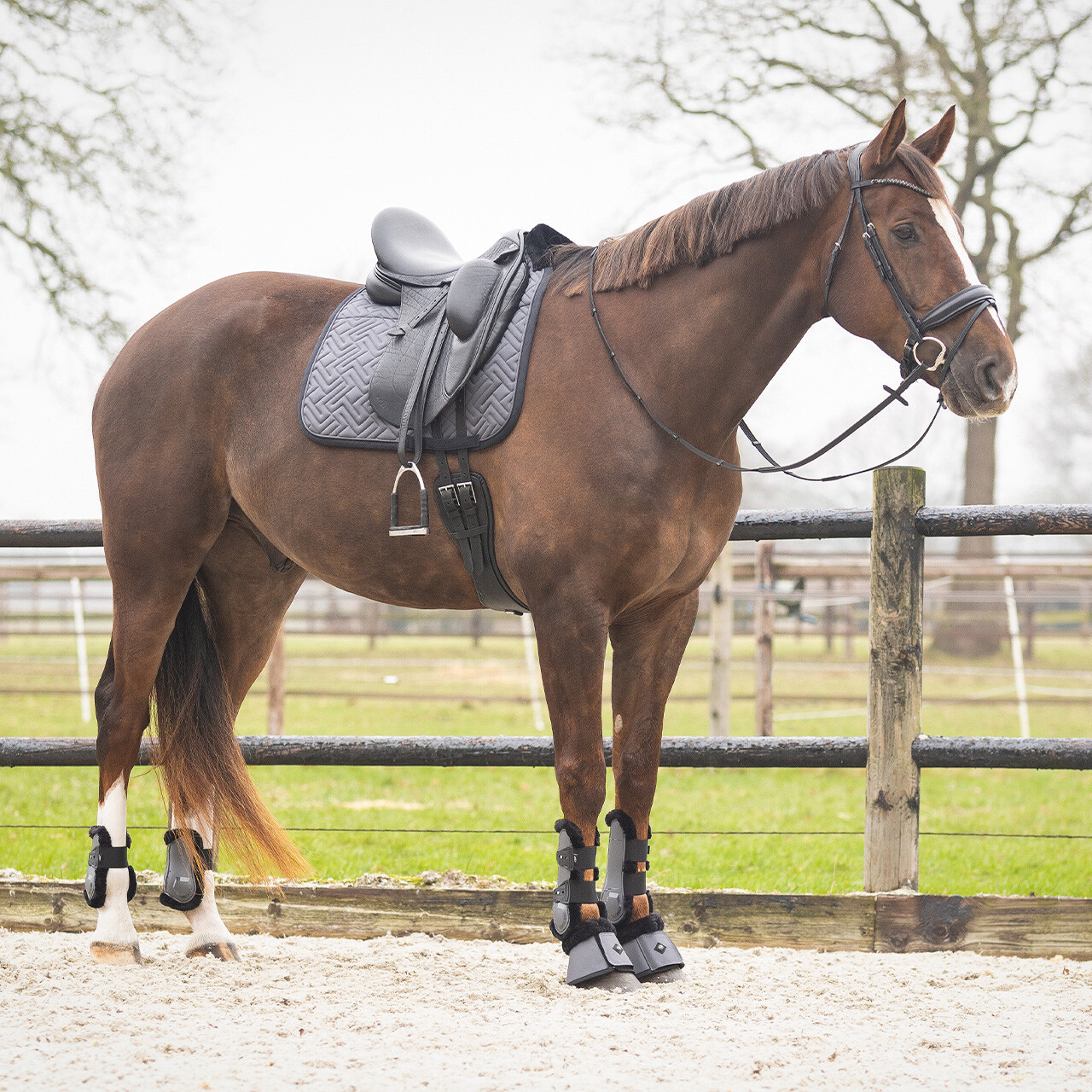 Saddle pad Sensisoft
