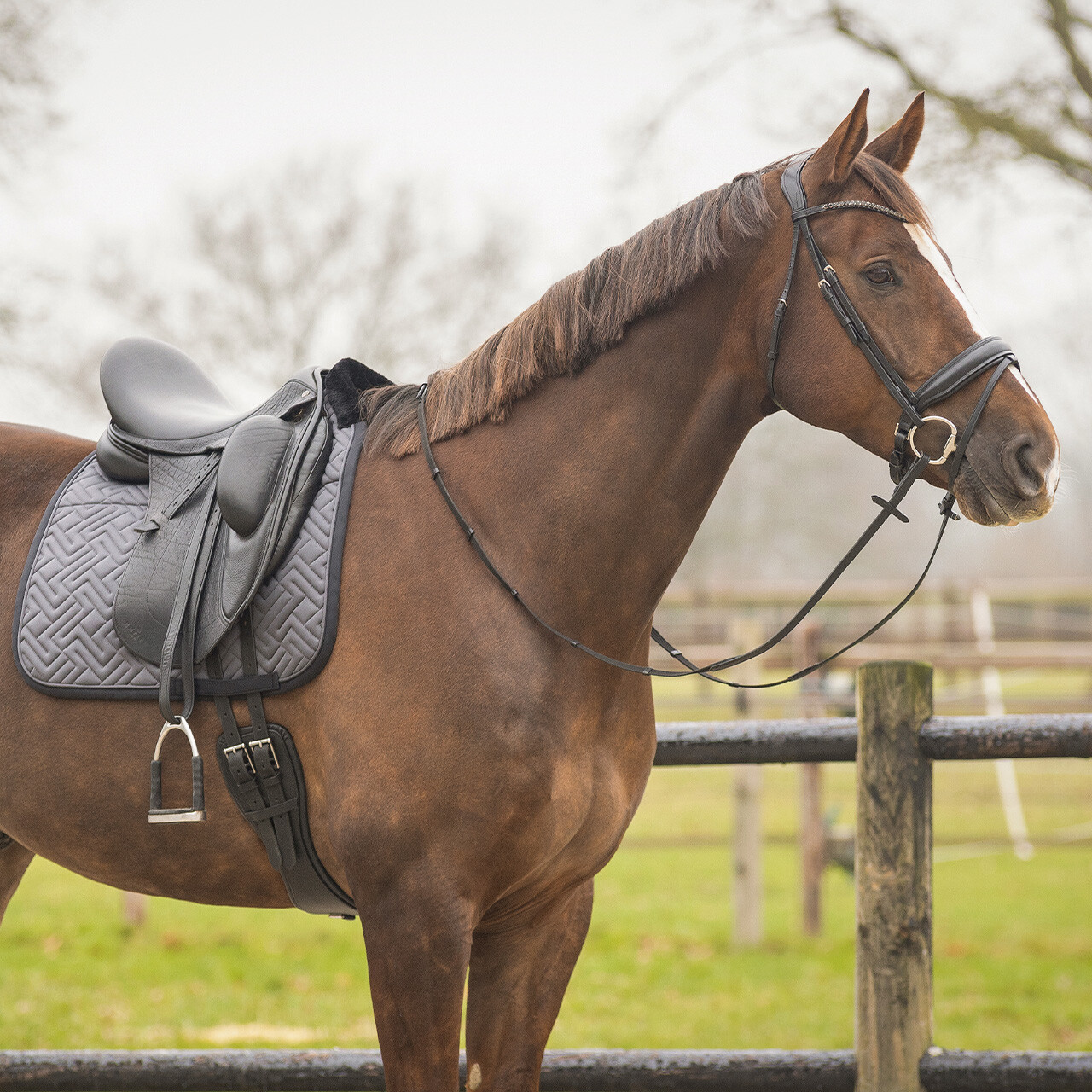 Saddle pad Sensisoft
