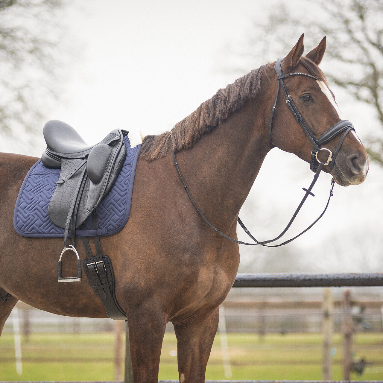 Saddle pad Sensisoft