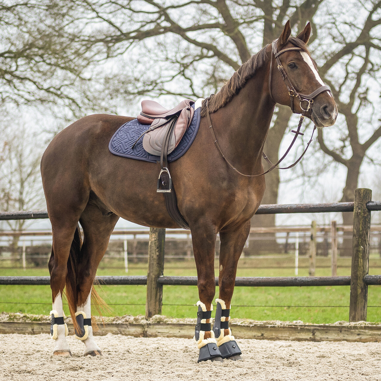 Saddle pad Sensisoft