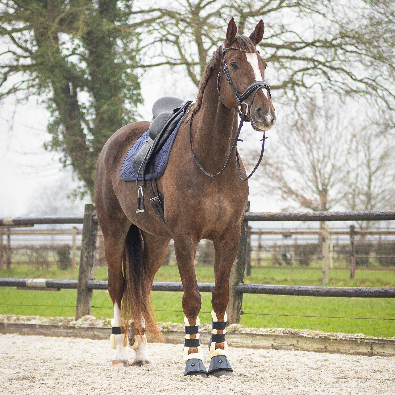 Saddle pad Sensisoft