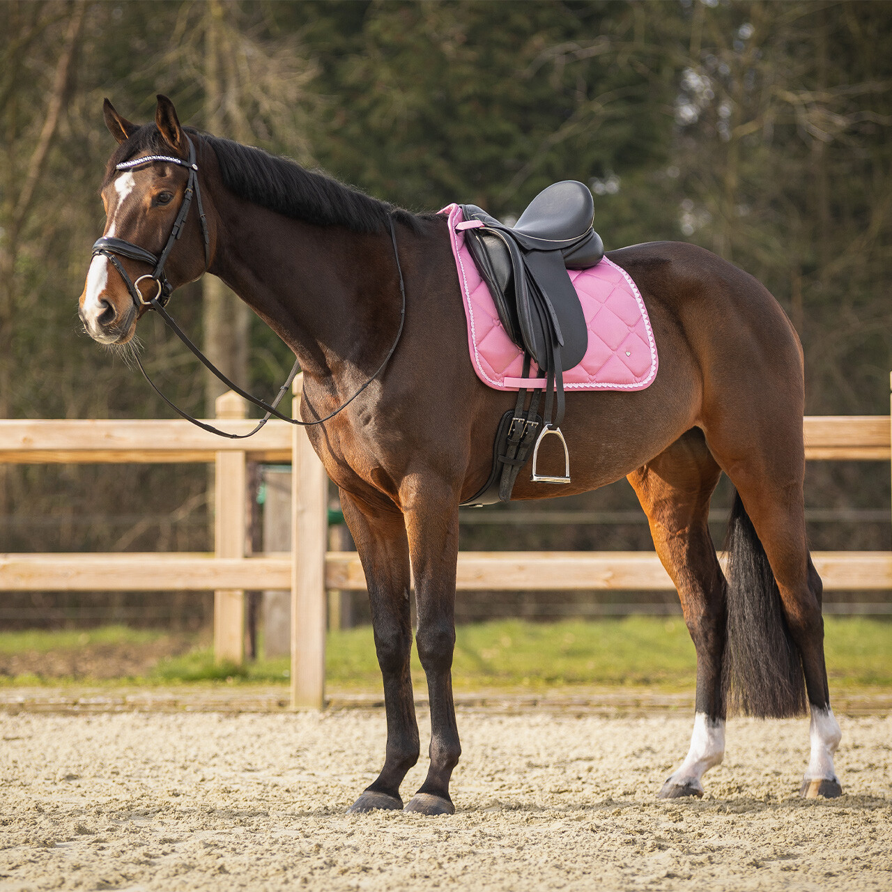 Saddle pad Lyvia