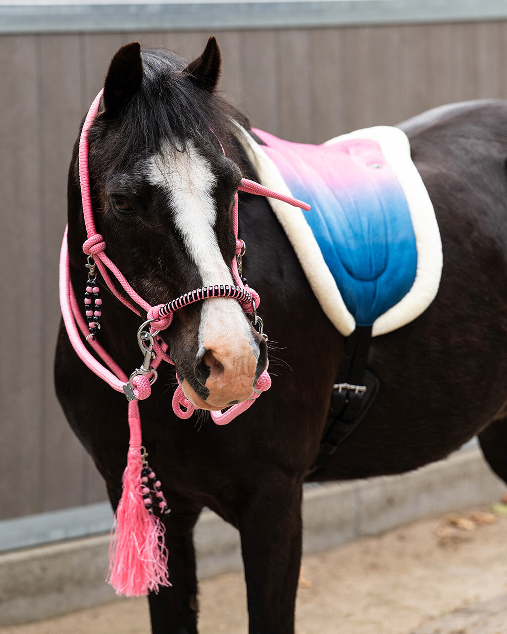 Bareback pad Rosalynn