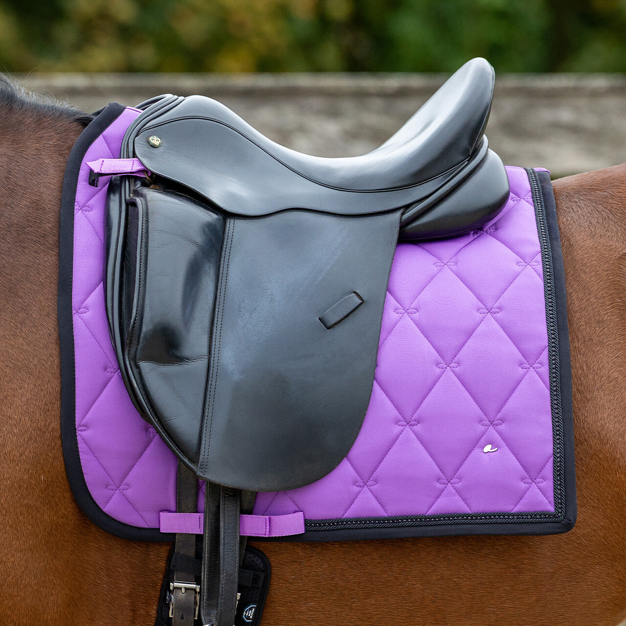 Saddle pad Livora