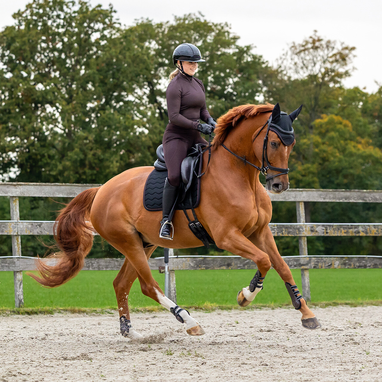 Saddle pad Avenna