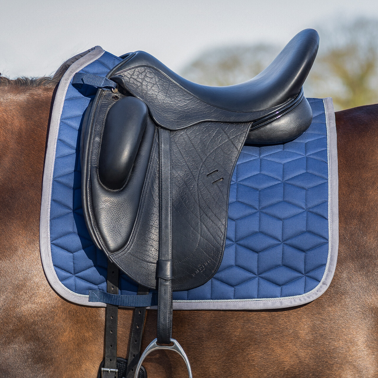 Saddle pad Avyra