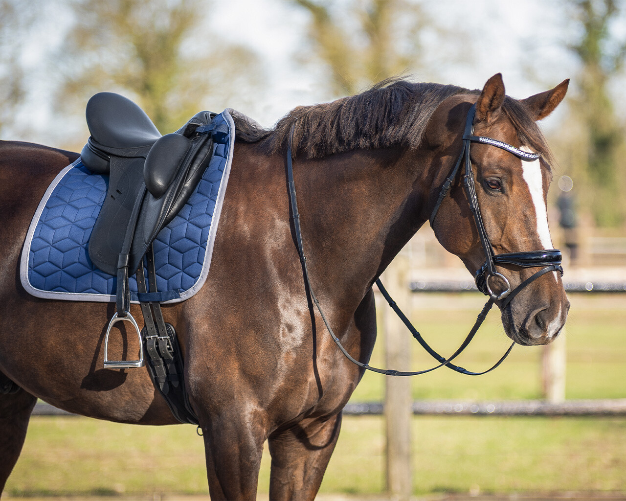 Saddle pad Avyra