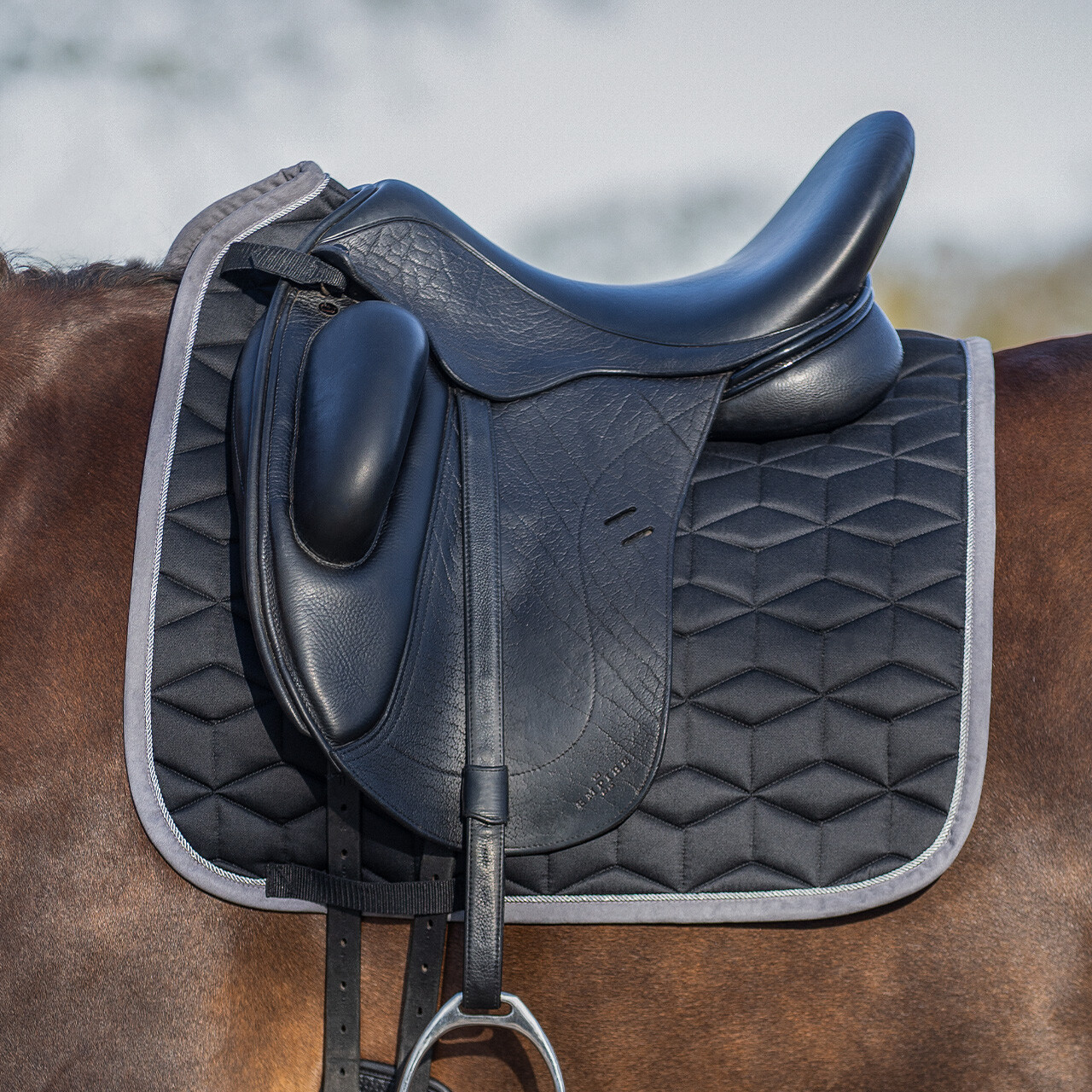 Saddle pad Avyra