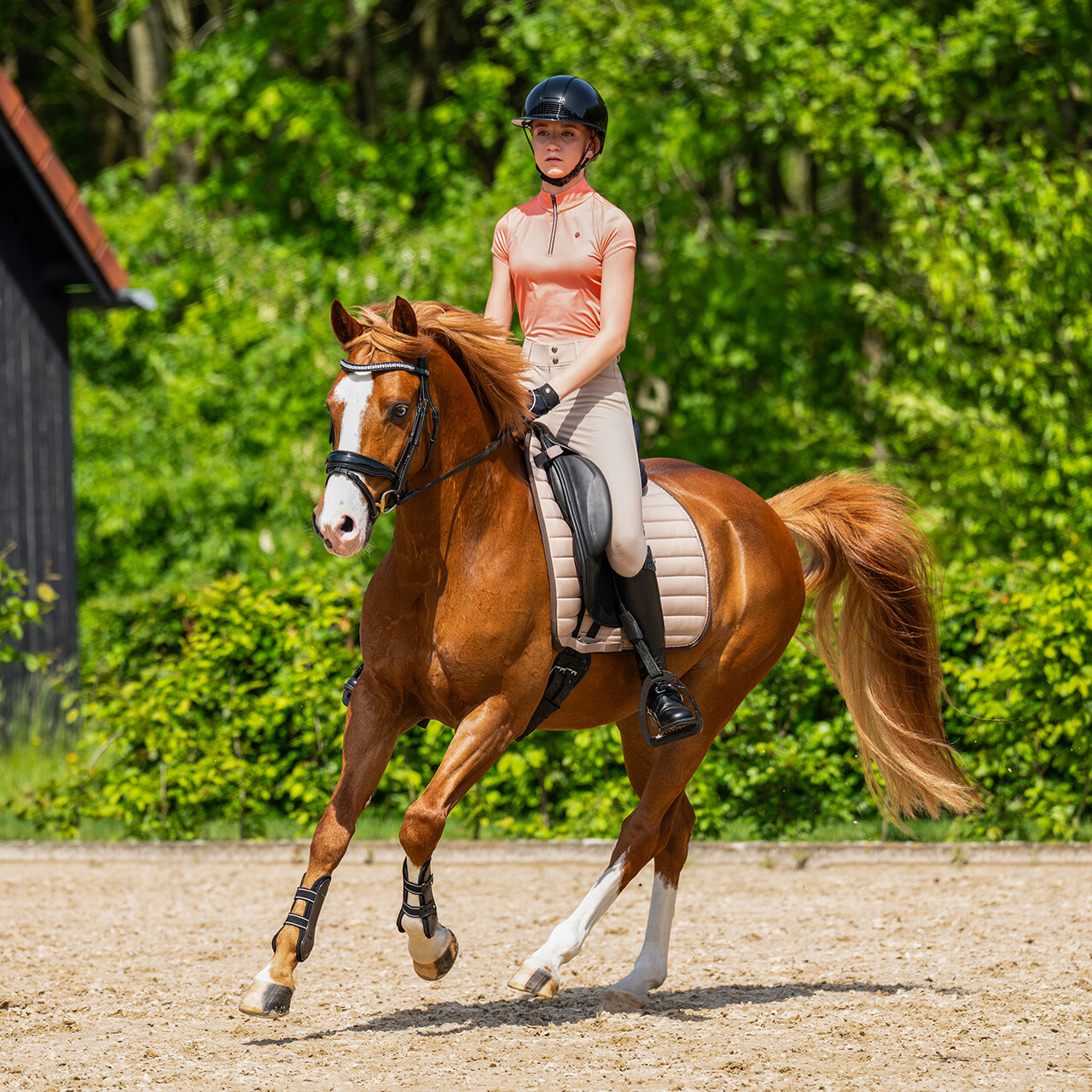 Saddle pad Victorio