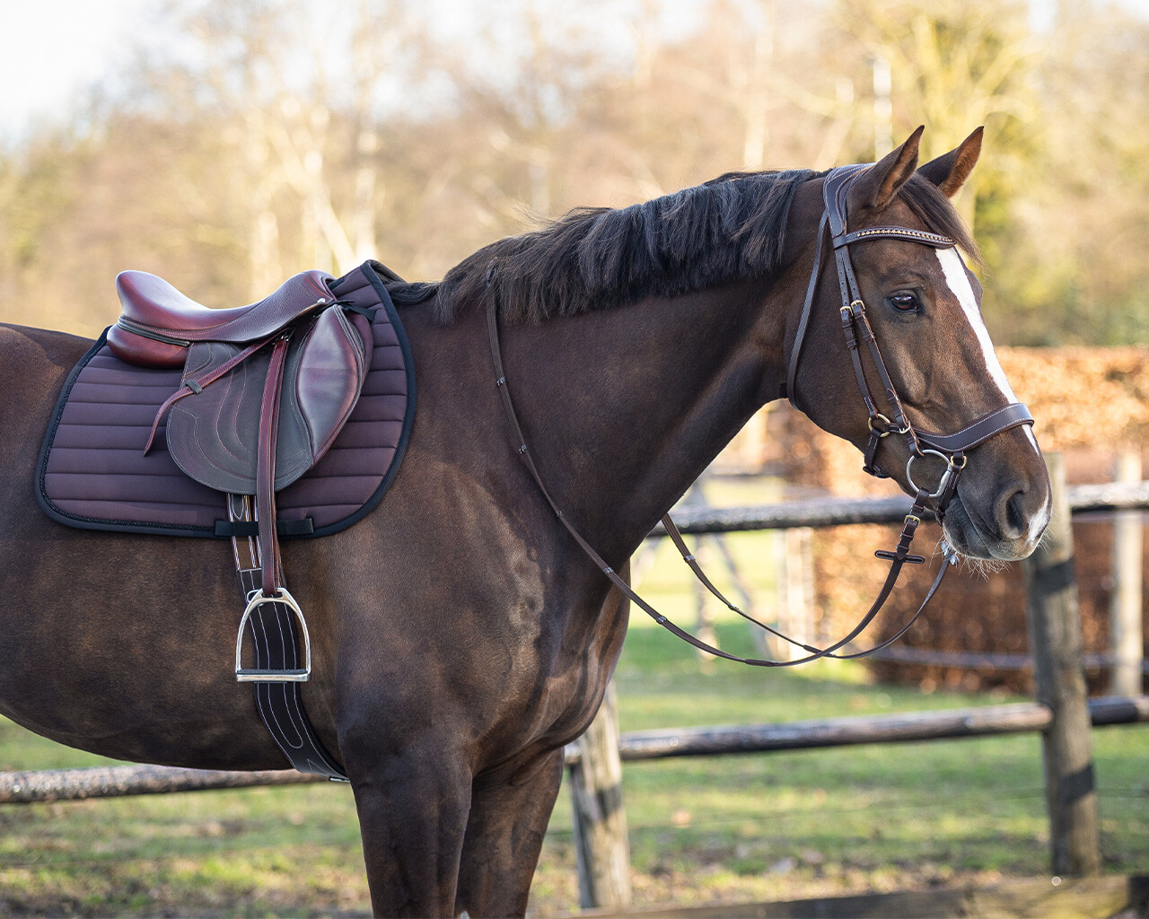 Saddle pad Victorio