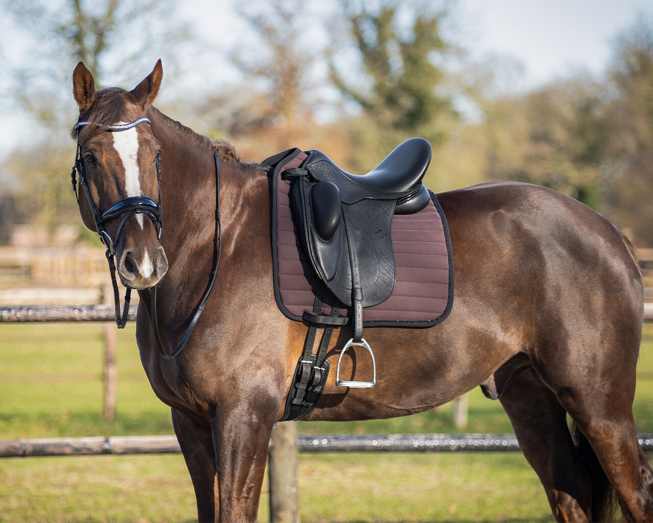 Saddle pad Victorio