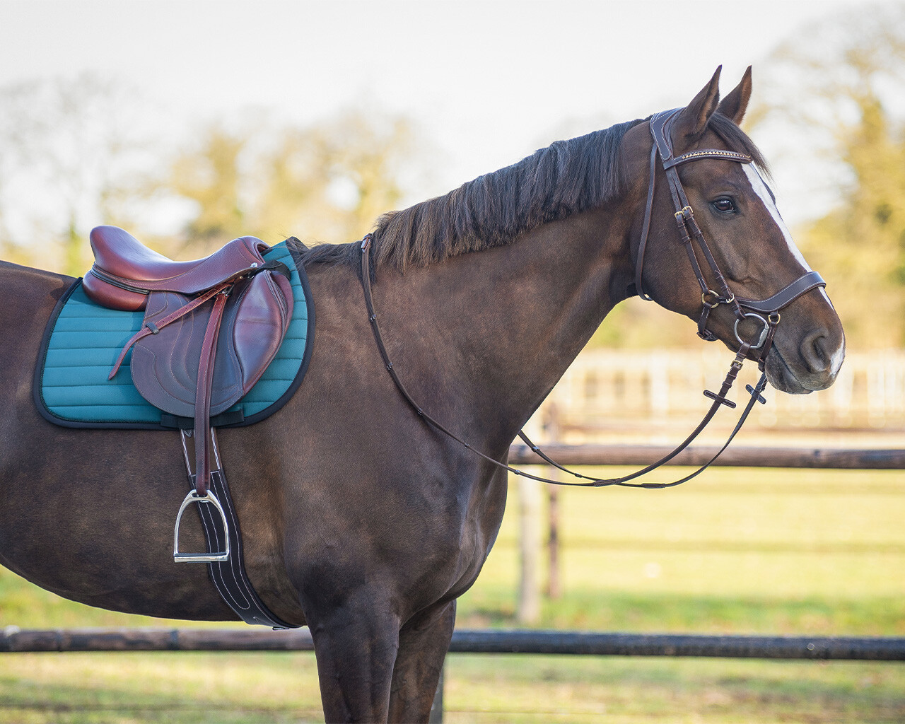 Saddle pad Victorio