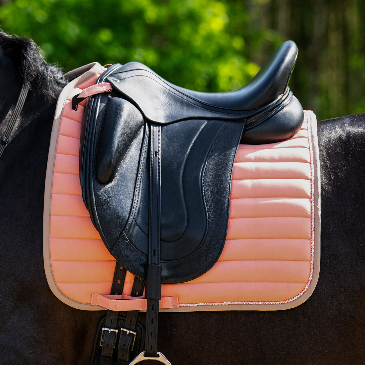 Saddle pad Victorio