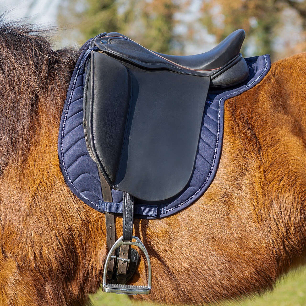 Saddle pad Fjara Icelandic